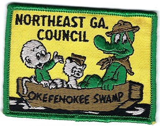 Northeast Ga. Council - Okefenokee Swamp