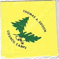Thomas Edison Council Camps Neckerchief