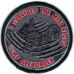 Alexander Camp I Survived the Mini Bears Plastic