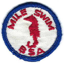 Mile Swim Large BSA Small Seahorse Gauze Used; Worn by Scouts and Scouter that completed the requirement for this award and is worn on their swim suit or patch coat. 