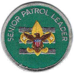 Senior Patrol Leader S8 Gray Plastic Used